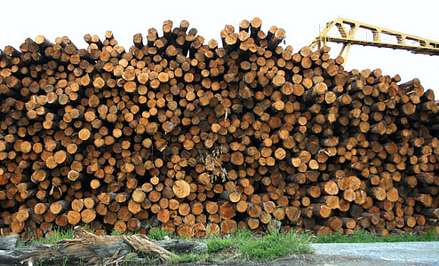 brown log lot thumbnail
