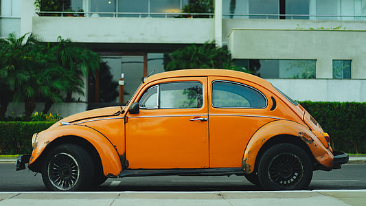 orange Volkswagen Beetle along the highway thumbnail