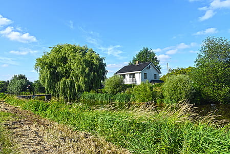white house near body of water and trees thumbnail