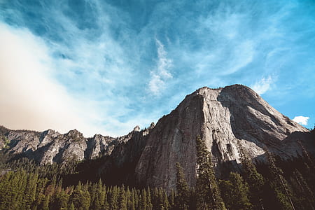brown mountain and pine trees at daytime thumbnail