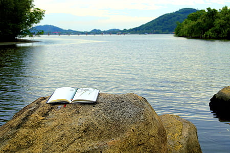 selective focus photography of opened book on rock thumbnail