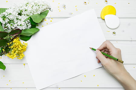 flat lay photography of person holding pencil with printer paper thumbnail