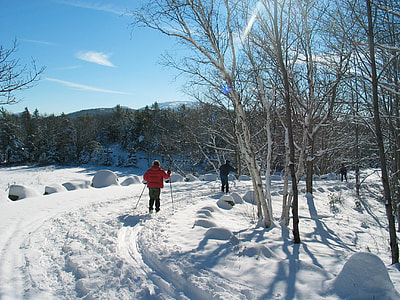 two person skiing outdoors thumbnail