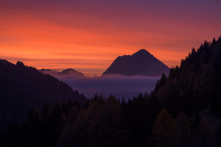 mountain with distance to pine trees during sunset thumbnail