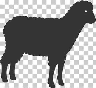 11 Spinone Italiano Png Cliparts For Free Download Uihere