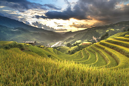 green rice terraces thumbnail