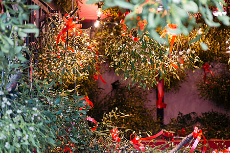 Christmas green decorations thumbnail