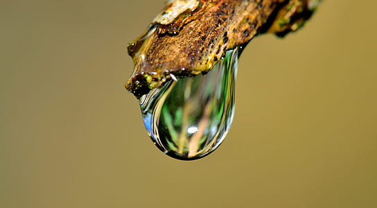 water drop on beige stick in-close up photo thumbnail