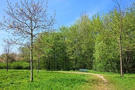 green grass field thumbnail