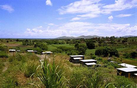 brown wooden houses surrounded by trees thumbnail