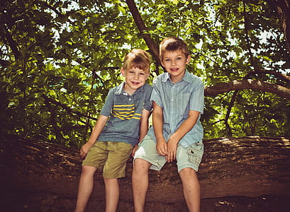 two boys sitting on tree branch under green leafed tree thumbnail