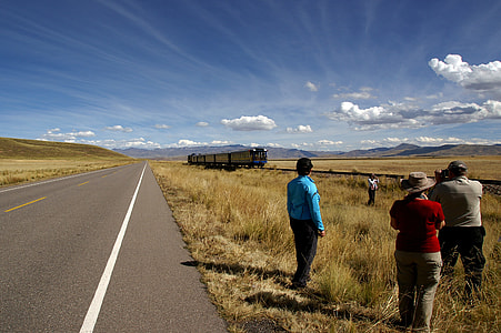 group of people standing on brown grass near road outdoors thumbnail
