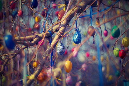 assorted egg shell decors thumbnail