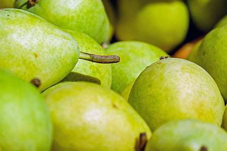 green fruit lot thumbnail