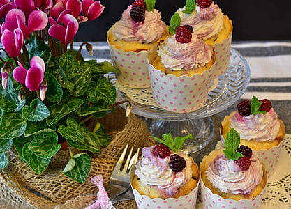cupcakes on display thumbnail