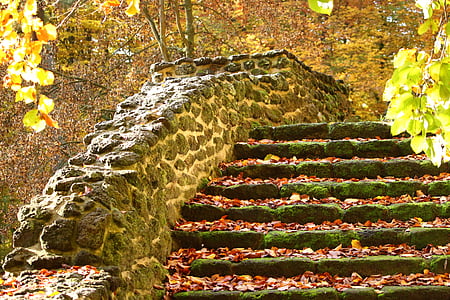 photo of staircase filled with fallen leaves thumbnail