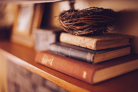 selective focus photography of three book filed with brown bird nest on top thumbnail