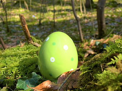 green Easter egg on grass field thumbnail