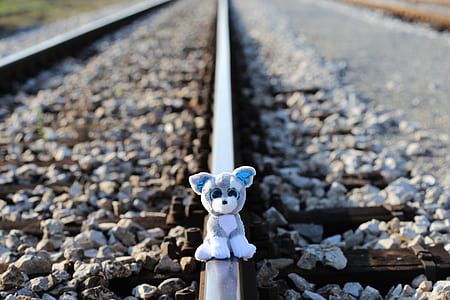 white and gray animal plush toy on train track thumbnail