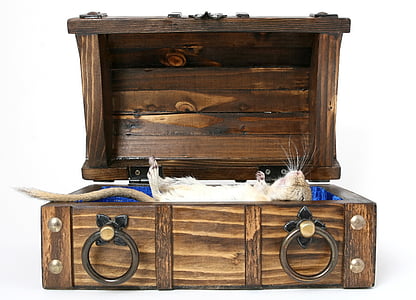 rectangular brown wooden chest thumbnail