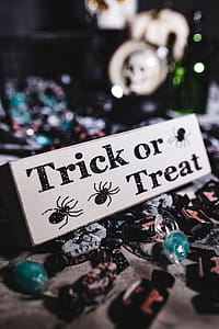 Halloween Decorations thumbnail