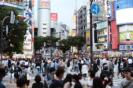 people walking on pedestrian lane thumbnail
