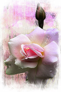 pink petaled flower painting thumbnail