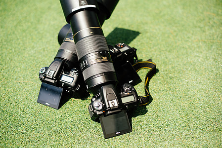 two black DSLR camera leaning on green grass plant thumbnail