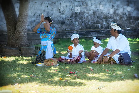 people sitting on lawn during daytime thumbnail
