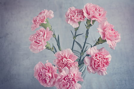 pink carnations centerpiece close up photo thumbnail
