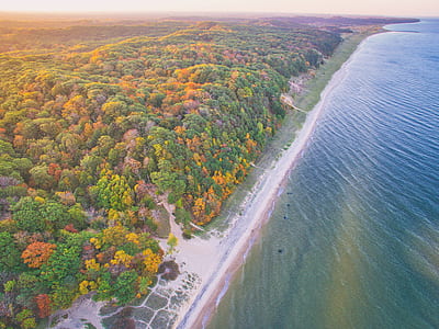 forest beside large body of water thumbnail