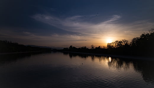 calm, body, water, near, trees, scarce thumbnail