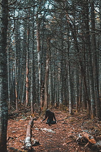 person wearing black jacket sitting on ground surrounded by bare trees thumbnail