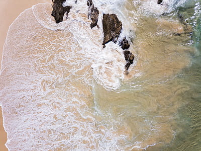 Seashore thumbnail