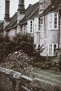 building surrounded with flowers thumbnail