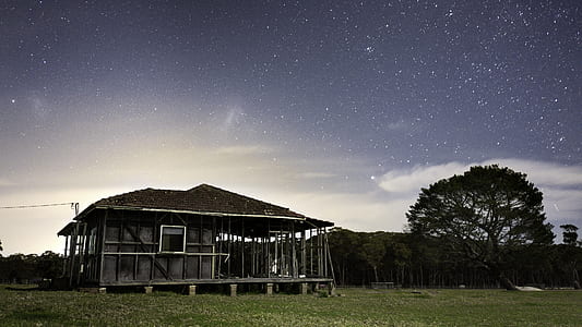 gray wooden shed surrounded with trees thumbnail