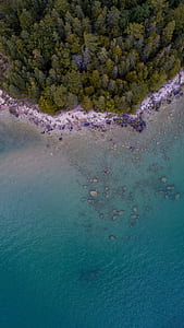 aerial photography of green trees in front ocean thumbnail