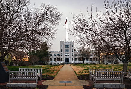 White Concrete Building in Front of Bare Trees thumbnail