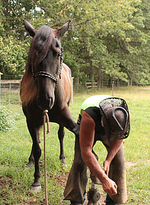 man changing horse shoe thumbnail
