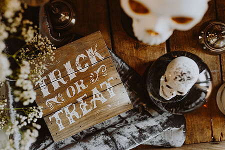 Halloween Decorations & Candles thumbnail