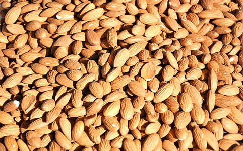 almond nuts thumbnail