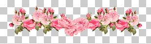 Pink flowers Rose , Vintage Pink Rose Border , pink petaled flowers PNG clipart