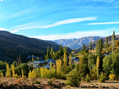 houses surrounded with trees thumbnail