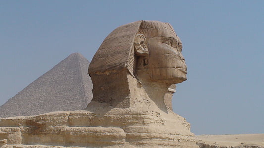 human head structure thumbnail
