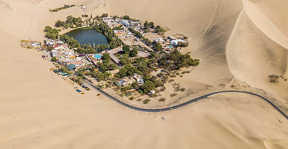 aerial view of green trees thumbnail