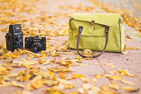 green bag beside two camera on dried leaves thumbnail