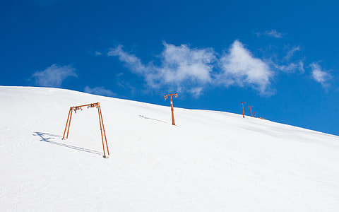 photo of brown stick in snow under blue calm sky thumbnail