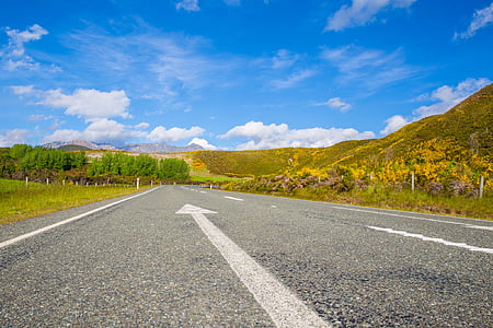 asphalt road between trees thumbnail