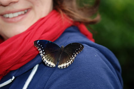 black and white butterfly perching on woman left shoulder thumbnail