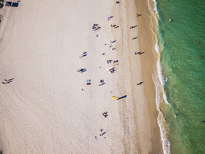 birds eye view of people on shoreline thumbnail